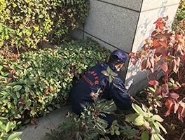 陕西灭菌