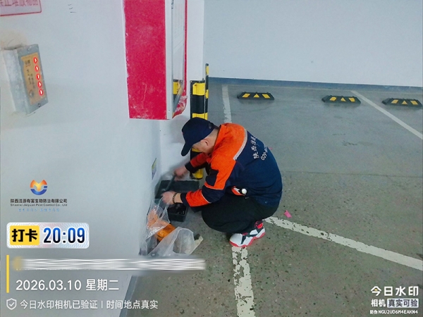 西安地库灭老鼠