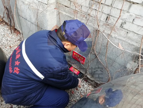 西安灭鼠公司 西安灭鼠公司