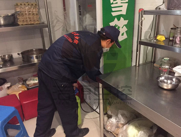 灭蟑螂公司