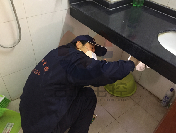 陕西灭蟑螂公司