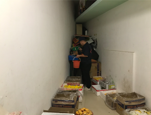 西安灭鼠公司 西安灭鼠公司