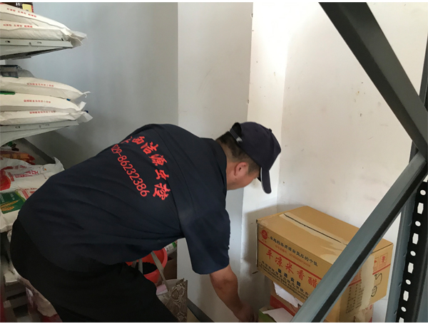 西安灭鼠公司 西安灭鼠公司