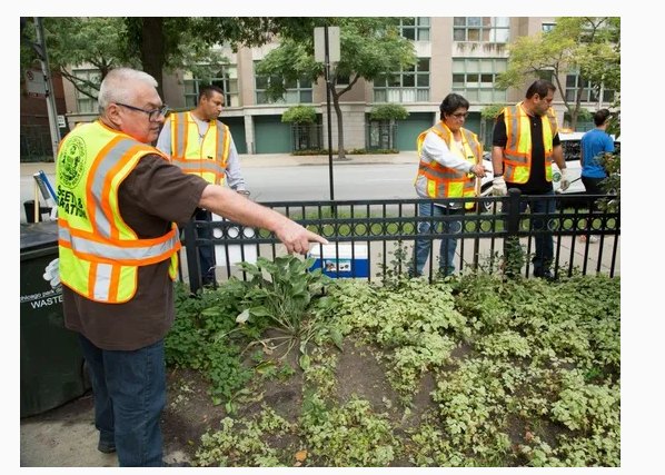 西安消杀公司 西安消杀公司