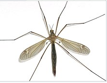 西安消杀公司 西安消杀公司