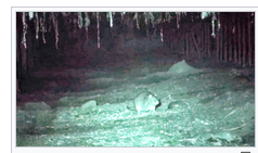 西安消杀公司 西安消杀公司