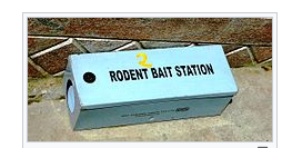 西安消杀公司 西安消杀公司