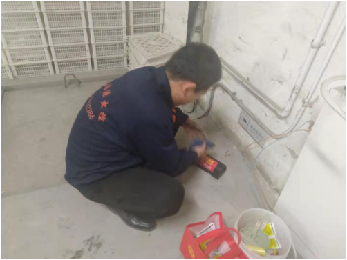 西安消杀公司 西安消杀公司