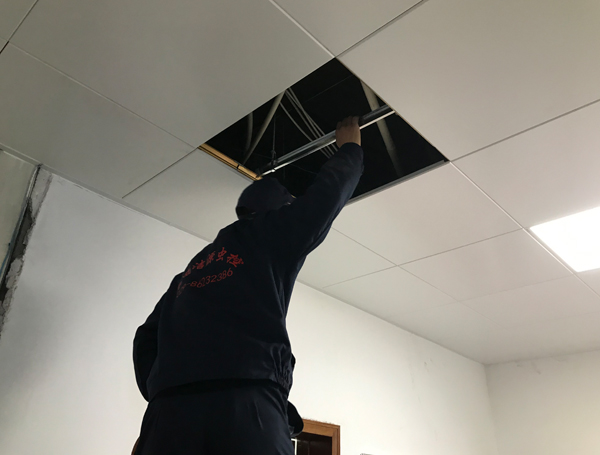 西安灭鼠公司 西安灭鼠公司