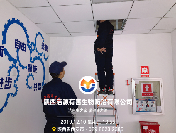 西安消杀公司