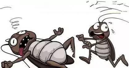 西安消杀公司 西安消杀公司