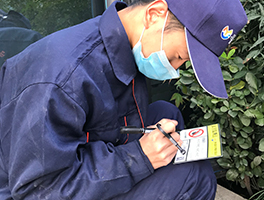 西安灭蟑螂公司 西安灭蟑螂公司