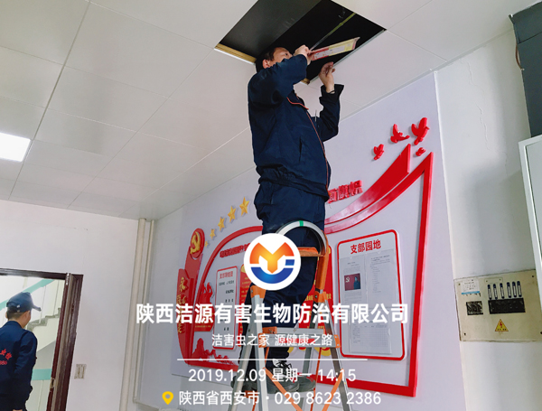 西安灭鼠公司 西安灭鼠公司