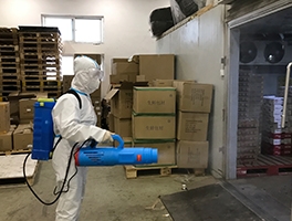 西安灭鼠公司 西安灭鼠公司