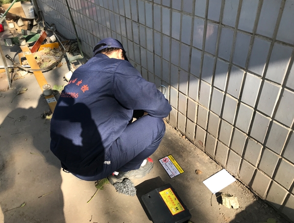 西安灭鼠公司 西安灭鼠公司