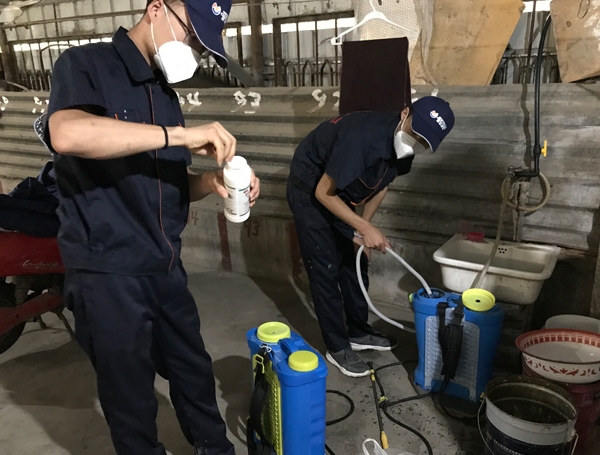 西安灭蟑螂公司 西安灭蟑螂公司