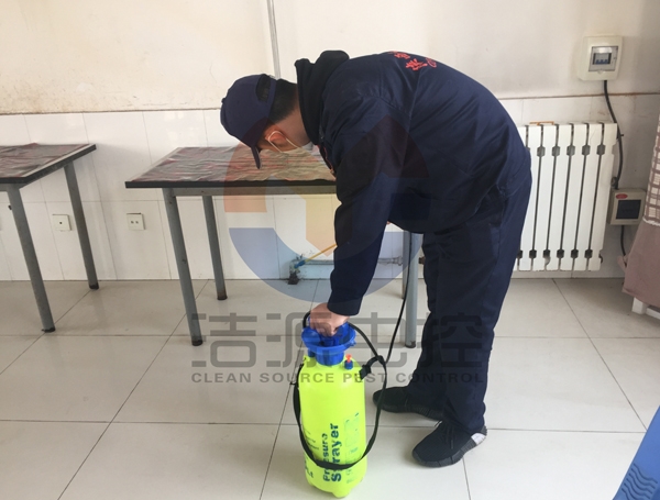 西安灭蟑螂公司 西安灭蟑螂公司