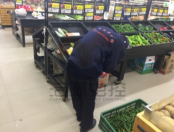 西安灭蟑螂公司 西安灭蟑螂公司