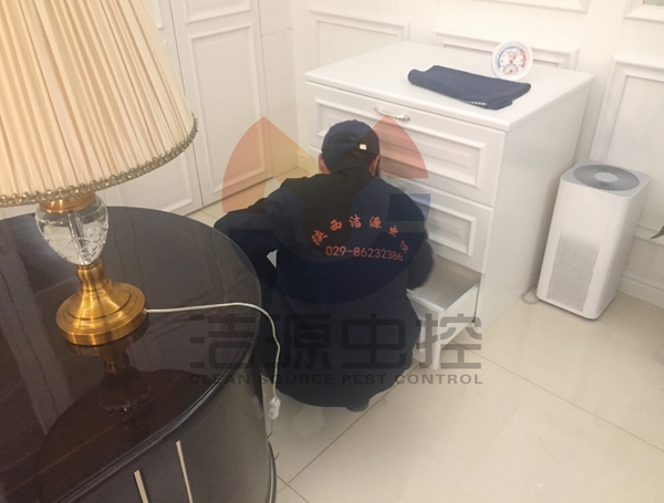 西安灭蟑螂公司 西安灭蟑螂公司