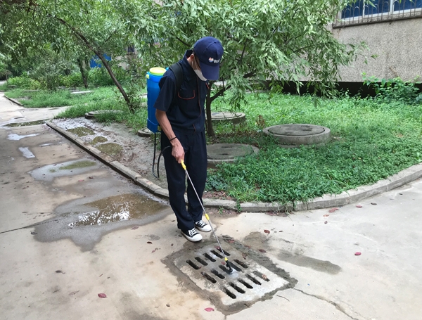 西安灭蟑螂公司 西安灭蟑螂公司