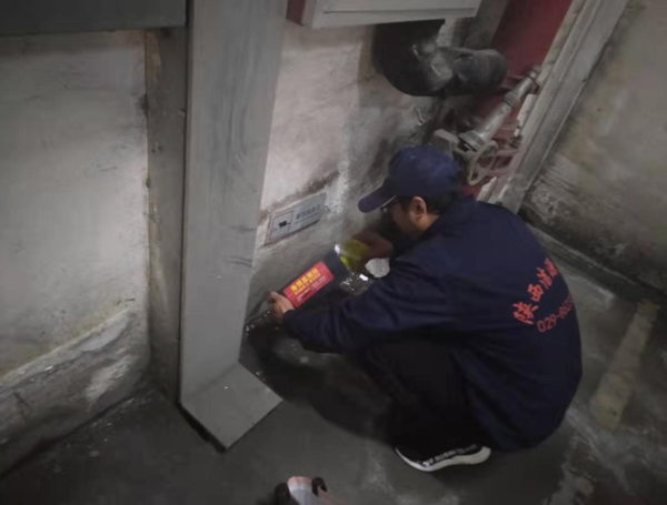 西安灭鼠公司 西安灭鼠公司