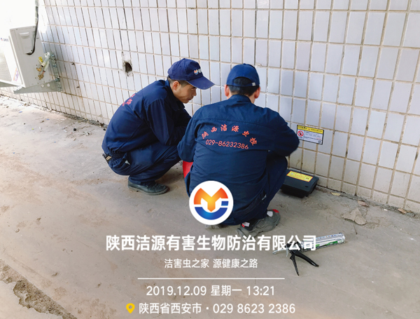 西安灭鼠公司 西安灭鼠公司