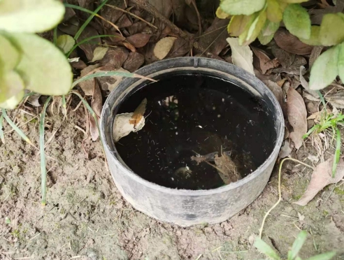 1730011243273888.png 11.png