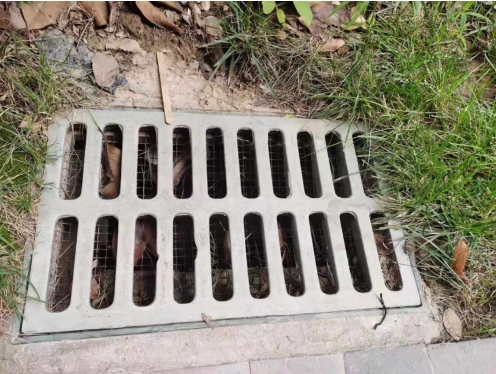 1730011258725944.png 12.png