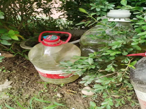 1730011288331433.png 14.png