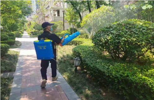 1730011333713513.png 17.png