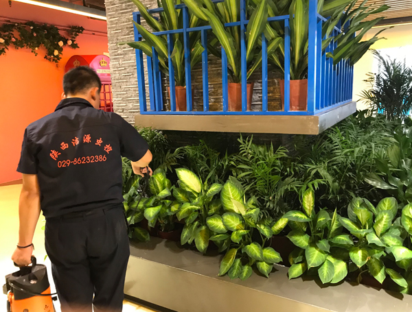 西安灭蟑螂公司 西安灭蟑螂公司