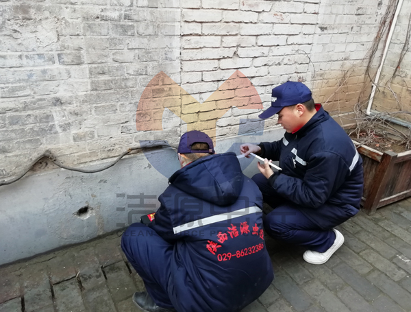 西安灭鼠公司