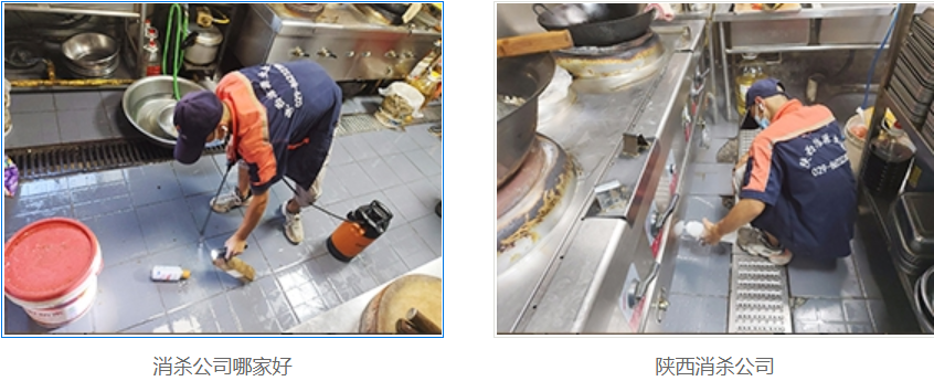   西安灭老鼠公司