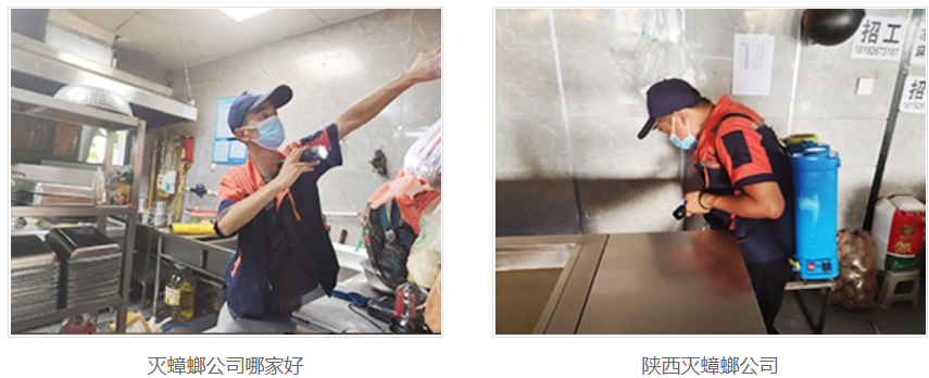 西安灭蟑螂公司