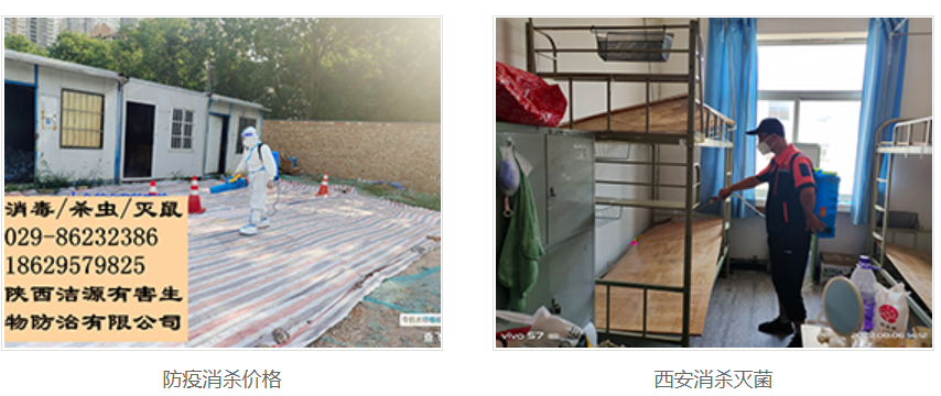 西安灭蟑螂公司 西安灭蟑螂公司