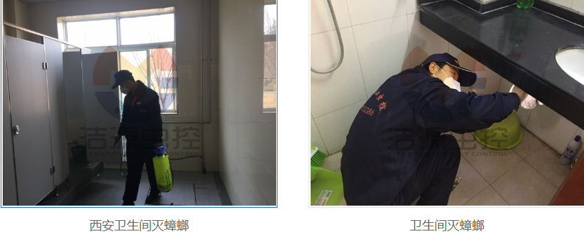 西安灭蟑螂公司 西安灭蟑螂公司