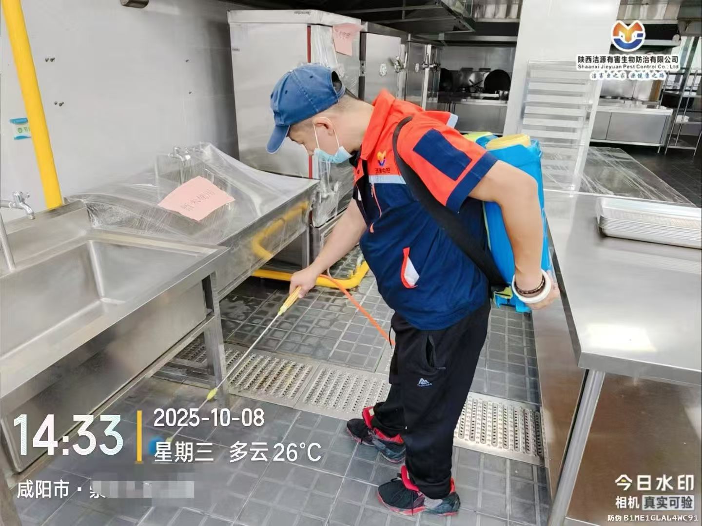 西安灭蟑螂公司 西安灭蟑螂公司