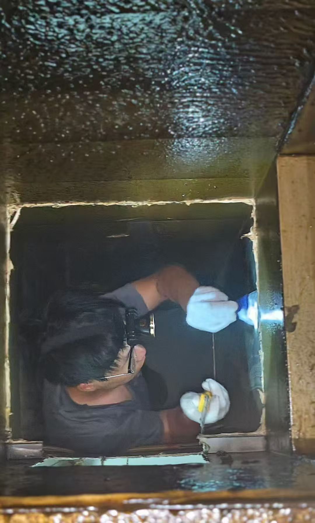 西安灭老鼠公司 西安灭老鼠公司