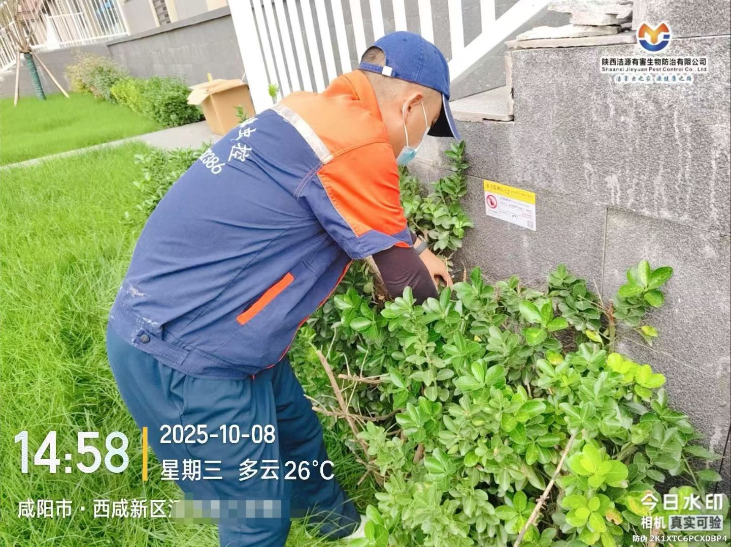 西安灭老鼠公司