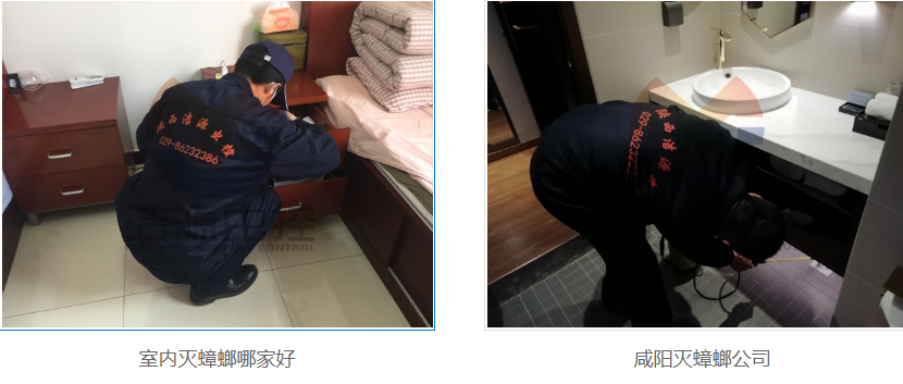 西安灭蟑螂公司 西安灭蟑螂公司
