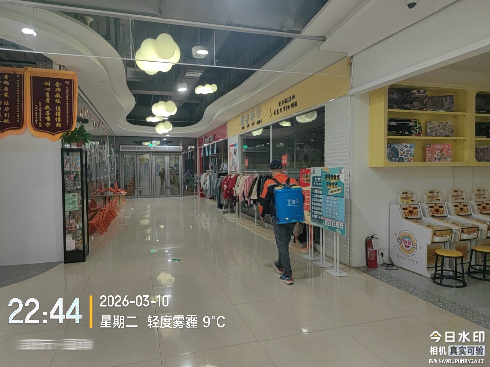 西安灭蟑螂公司