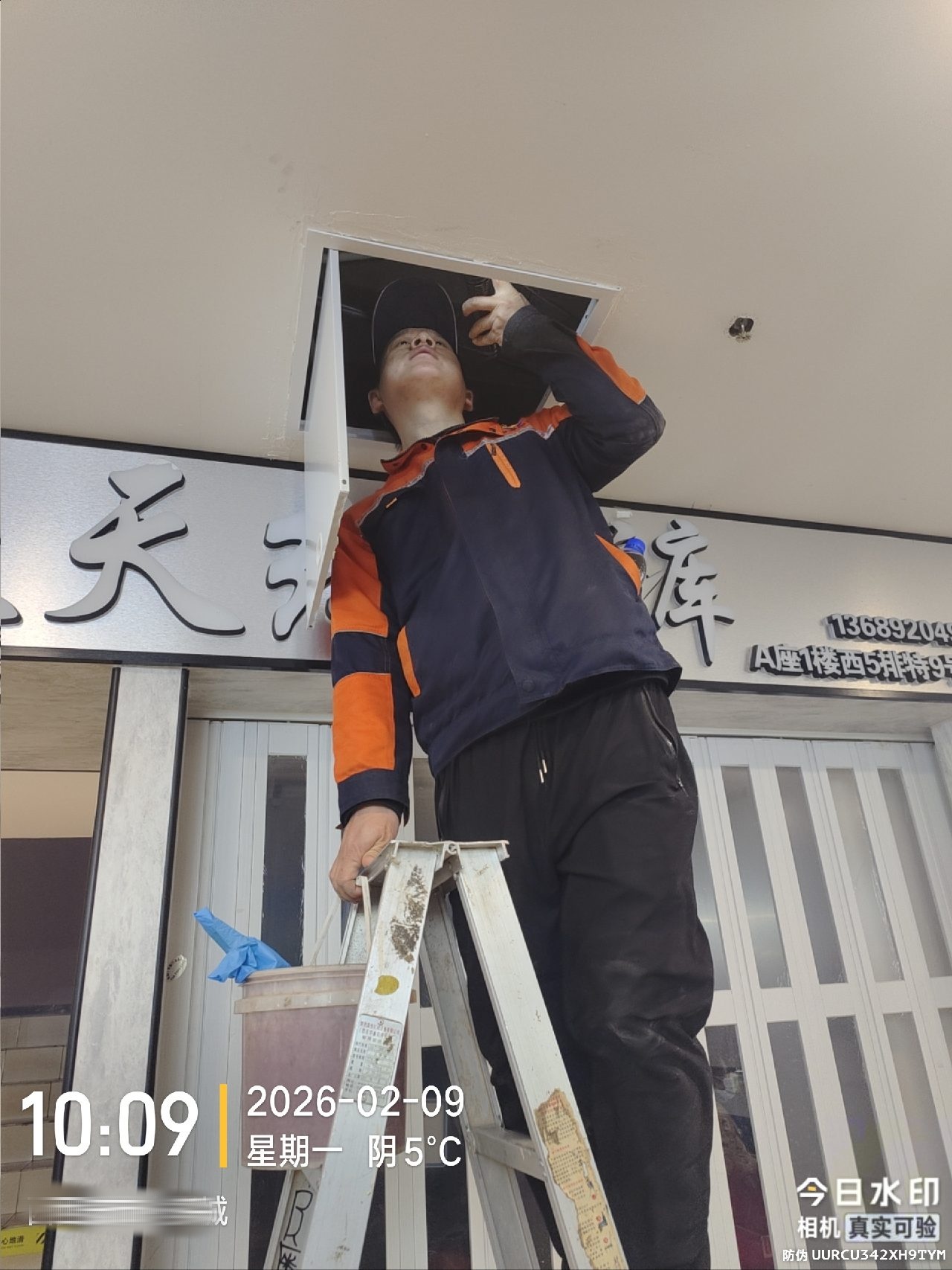 西安灭蟑螂公司