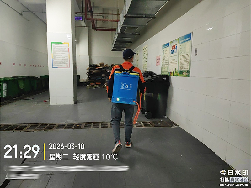灭蟑螂