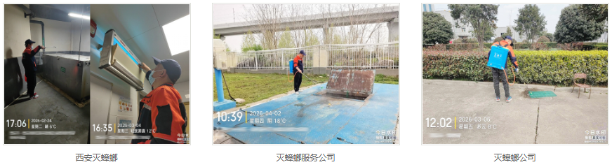 西安灭蟑螂公司